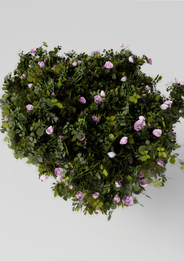 Flower 2 Flower 2