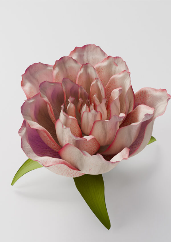 Flower Flower