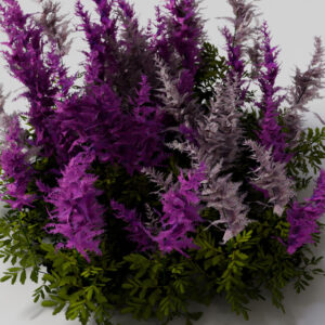 Flower 1